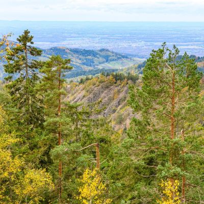 Blick auf den Karlsruher Grat mit Herbstwald