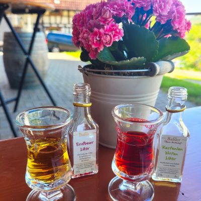 Zwei Gläser mit Likör, zwei kleine leere Fläschchen. Im Hintergrund eine Blume