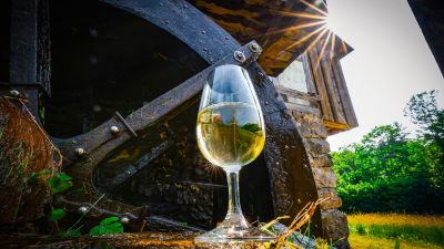 Weinglas mit Inhalt vor einem Mühlrad und Sonne im Hintergrund