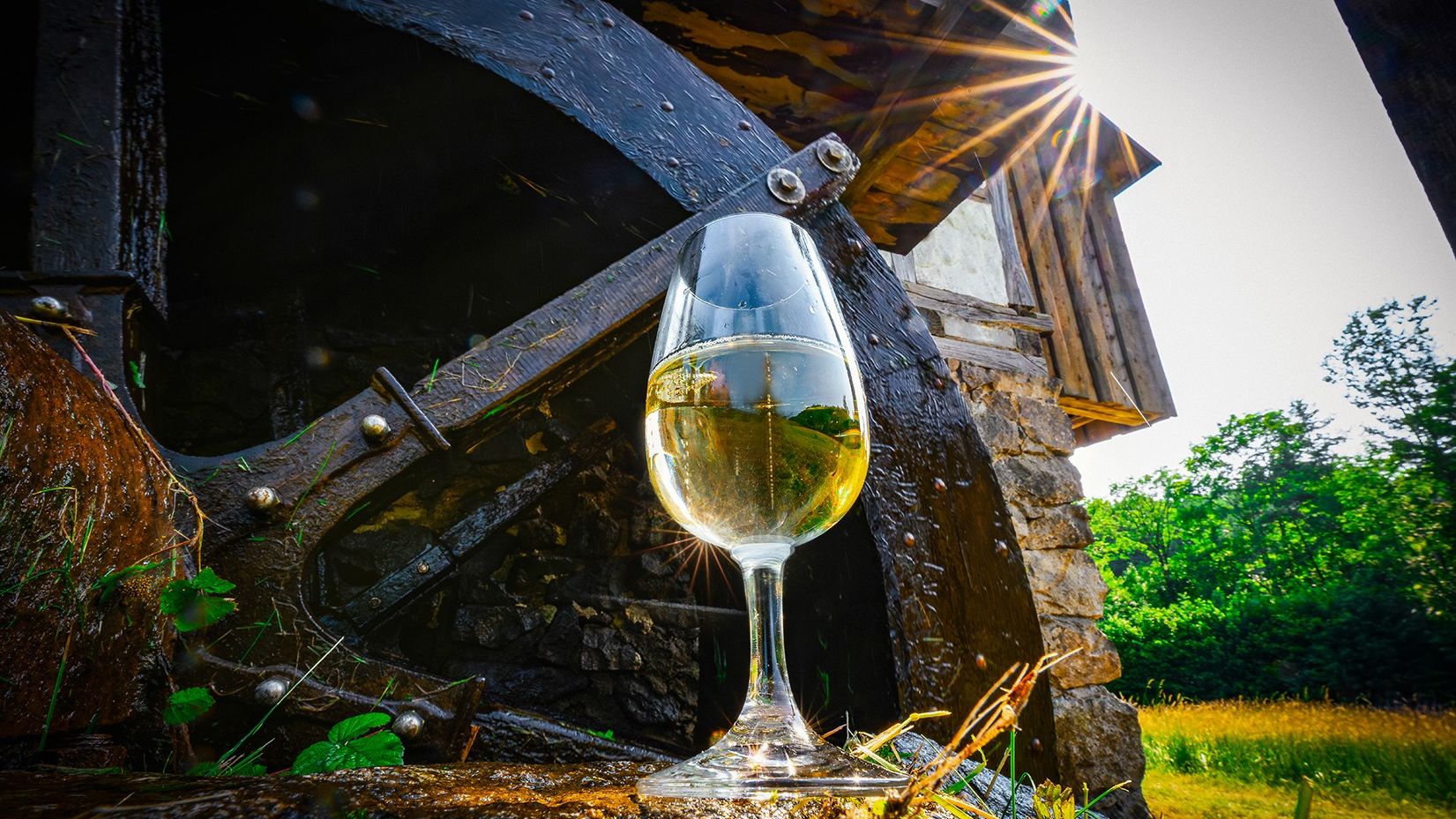 Weinglas mit Inhalt vor einem Mühlrad und Sonne im Hintergrund