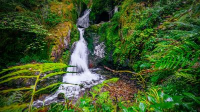 Edelfrauengrab Wasserfall im Sommer, Wasserfall und Farne