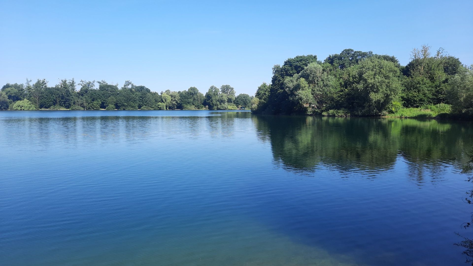 Seeblick mit grünen Bäumen drumherum