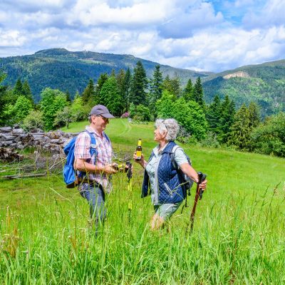 zwei Wanderer auf einer grünen Sommerwiese