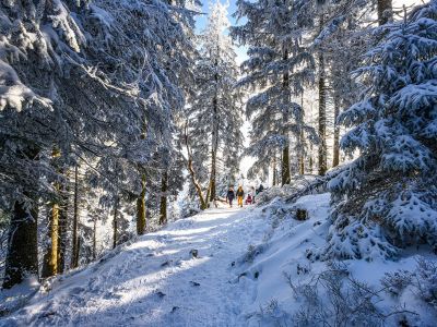 Zwei Menschen die eine Winterwanderung machen