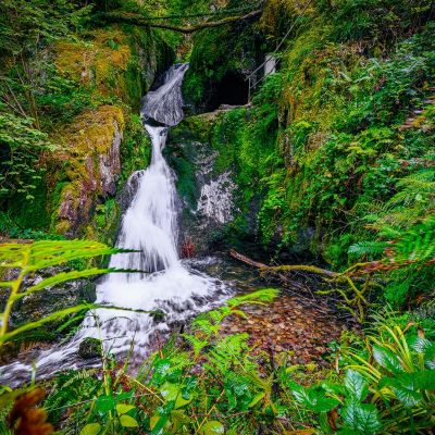 Wasserfall im grünen – Edelfrauengrab Wasserfälle