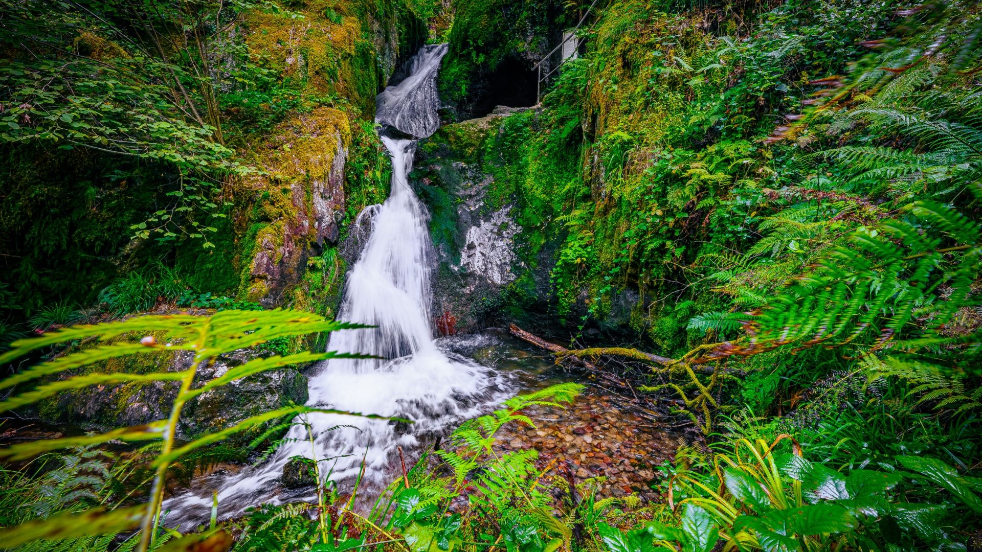 Edelfrauengrab Wasserfall im Sommer, Wasserfall und Farne