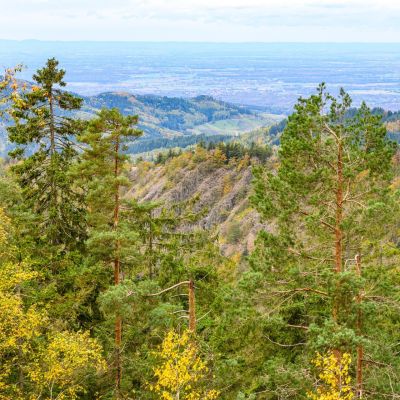 Blick auf den Karlsruher Grat Felsen mit herbstlichen Bäumen