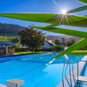 Freibad Kappelrodeck: Ein Schwimmbecken mit einer Pflanze im Vordergrund und den Umkleidekabinen im Hintergrund. Die Sonne scheint.