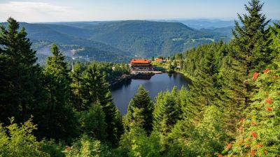 Blick von oben über den Mummelsee und das Tal