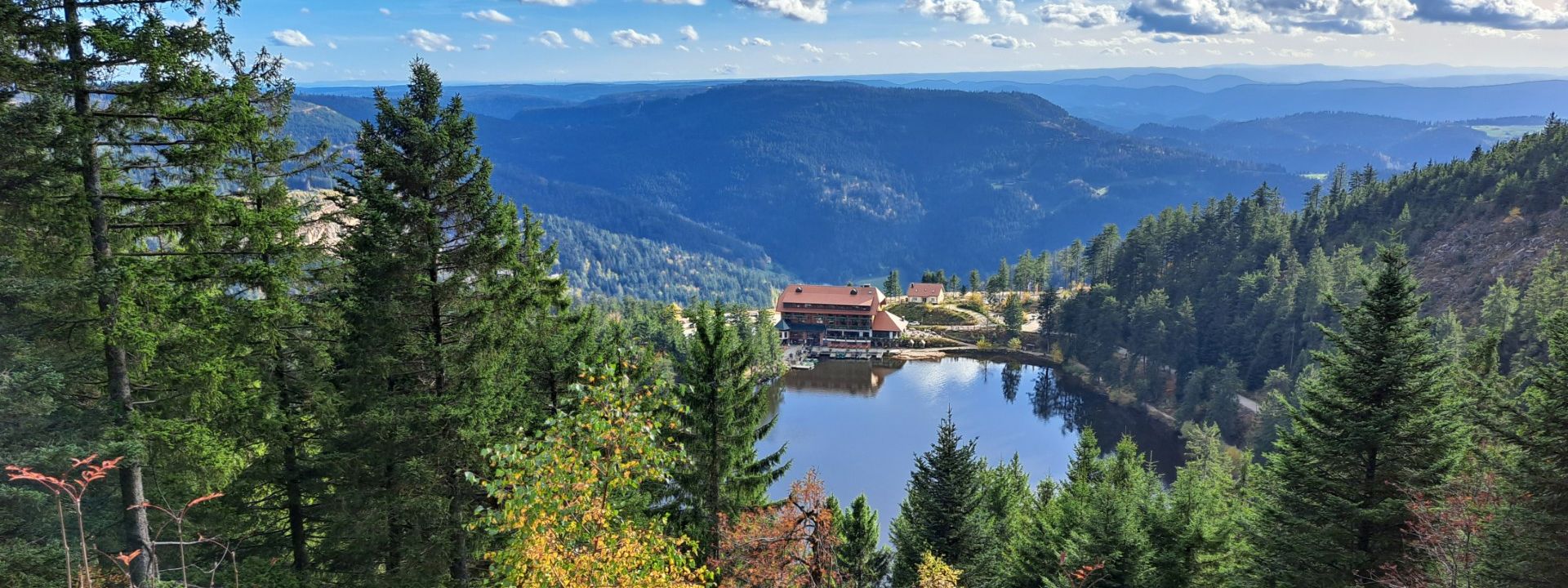 Blick auf den Mummelsee von oben mit herbstlichen Bäumen